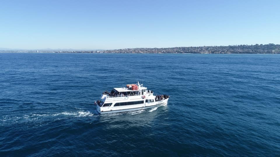 Cruise Into the Blue: Boat Rides in San Diego for a Perfect Day Out