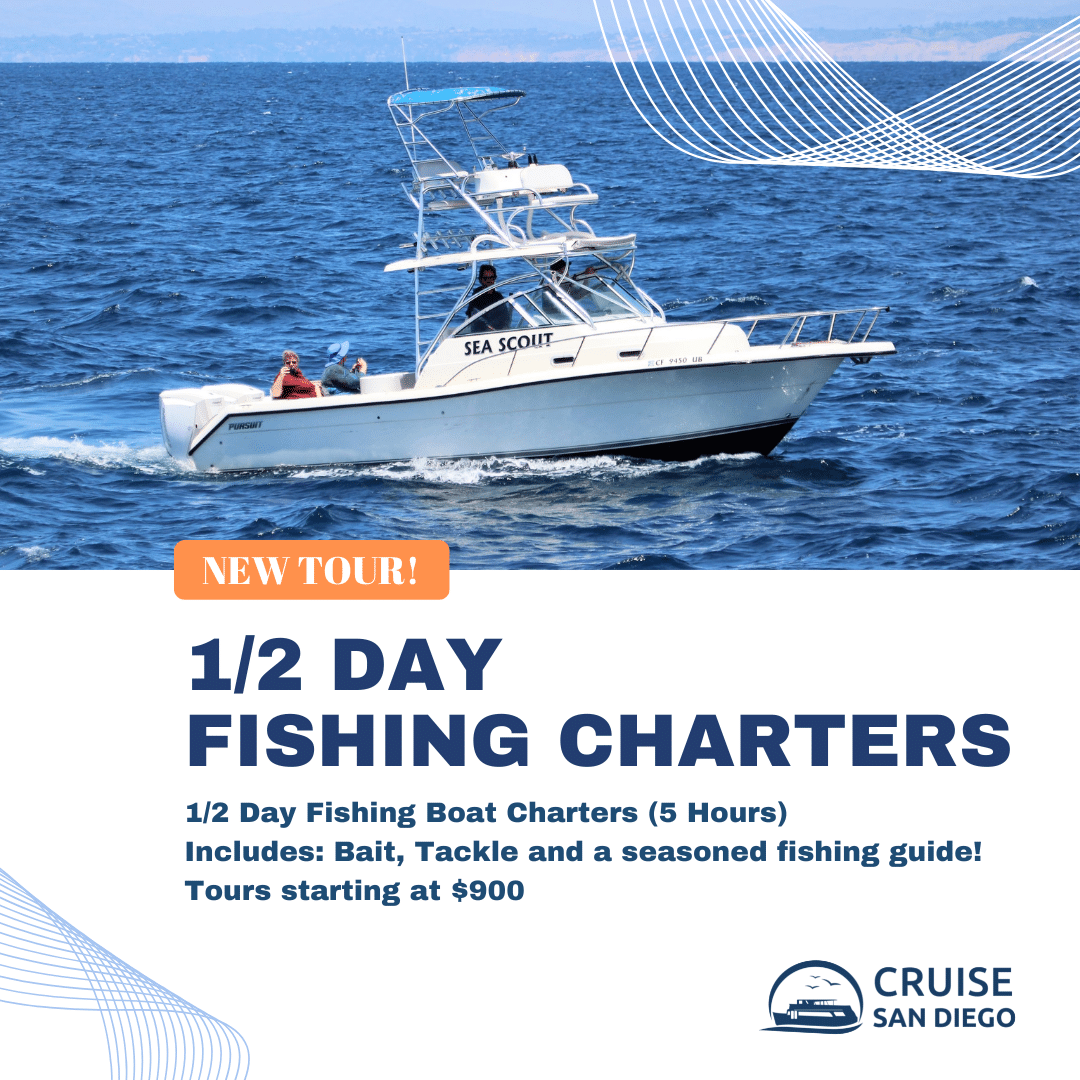 CSD Fishing Charters
