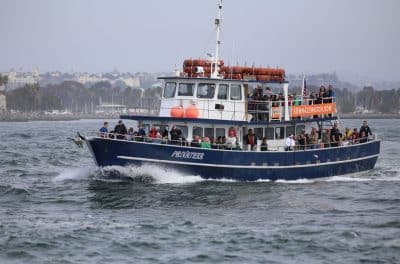 San Diego boat tours, planning charter boat trip in San Diego