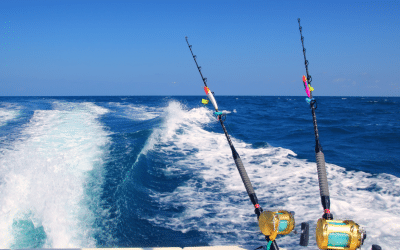 San Diego Sportfishing – Complete Guide