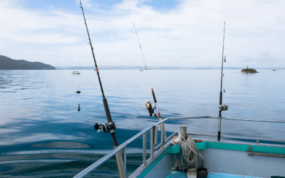 Offshore vs. Inshore Fishing Charter Types