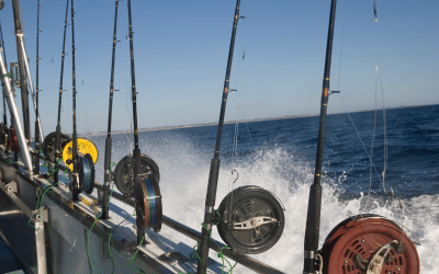 San Diego Private Fishing Charter