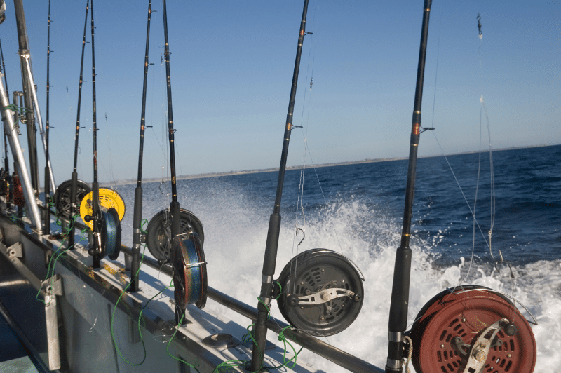 private fishing charter, Private Charter with Cruise San Diego