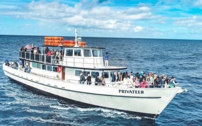 Private Charter vs Public Cruise: Why San Diego Private Charters are the Best Choice