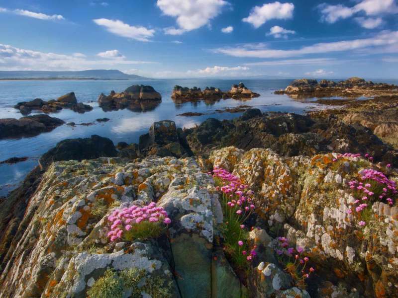 a large body of water