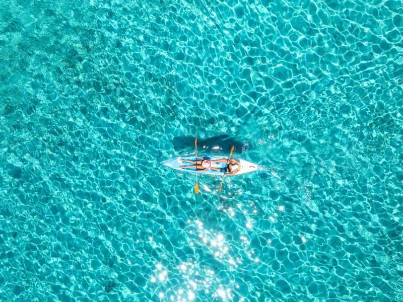 a fish swimming in blue water