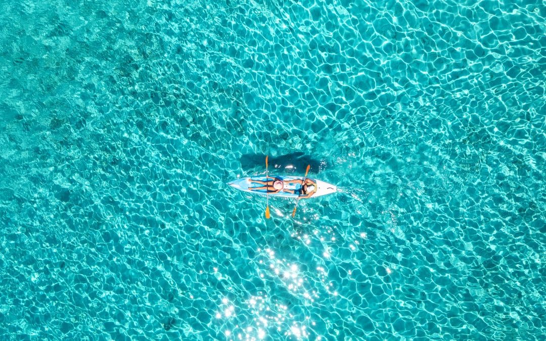 Clear-Kayak-Rentals-Types-In-San-Diego-04062023-1080×675 a fish swimming in blue water
