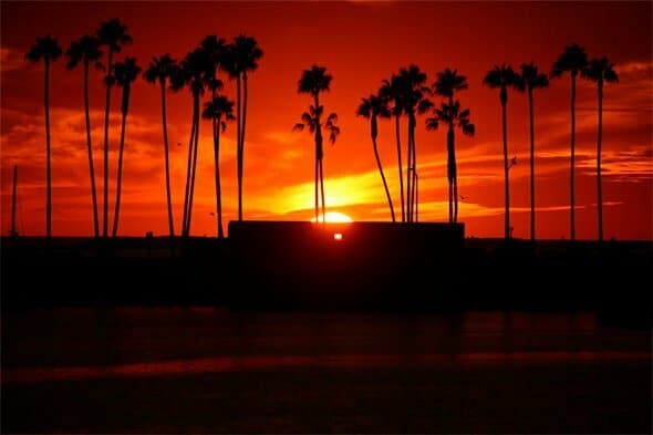 Unleash the Magic of San Diego Sunsets A Guide to the Most Captivating Sunset Boat Tours a sunset over a body of water