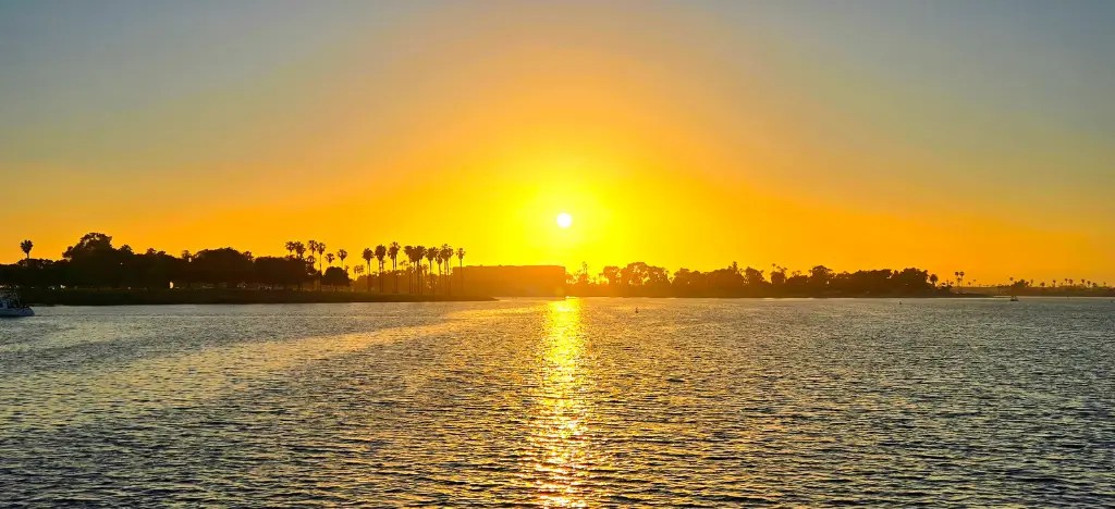 Sunset over calm water with silhouetted palm trees and an orange sky.