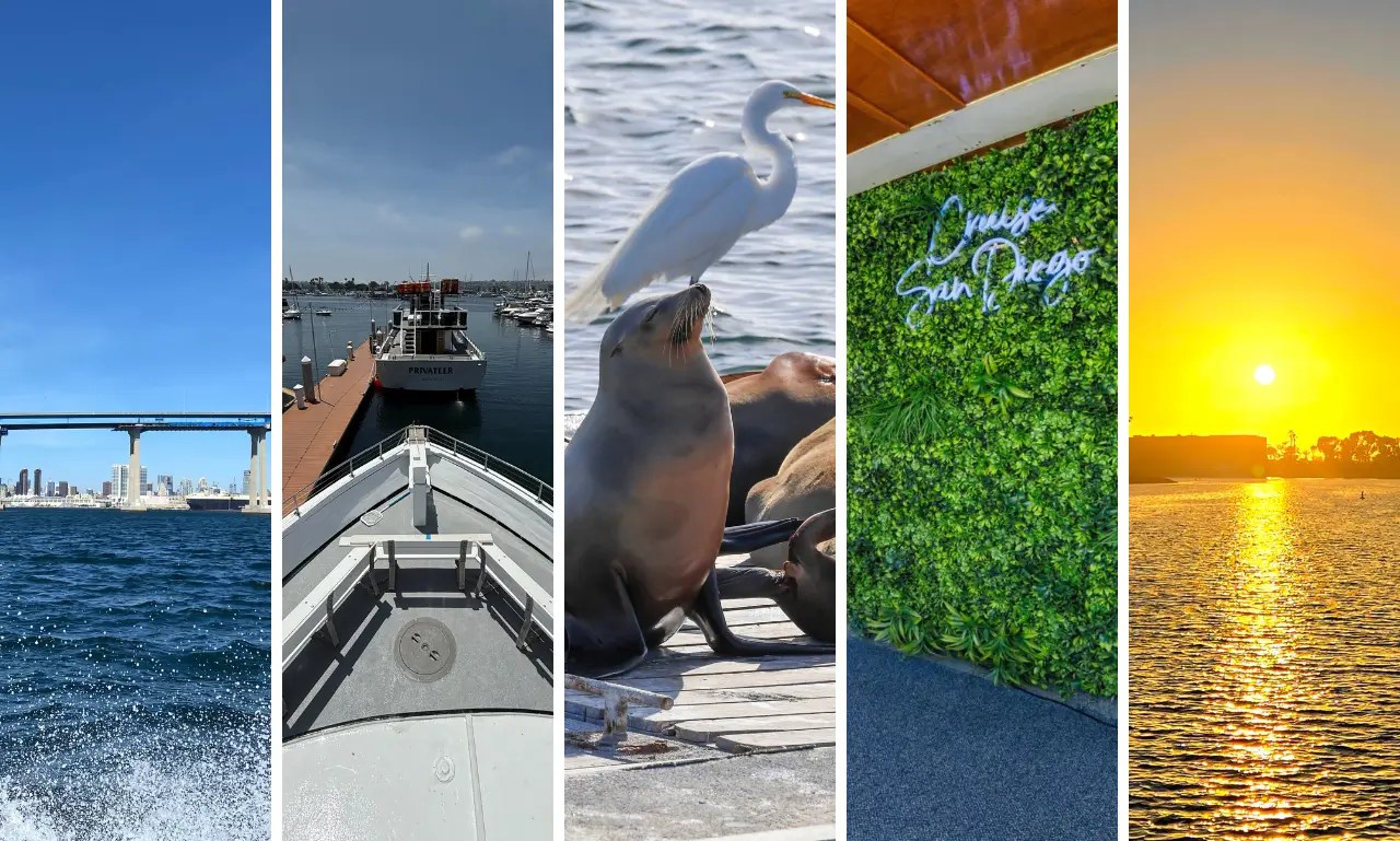 Collage: blue sky with bridge, boat dock view, seal with bird, vertical plant wall, sunset over water.