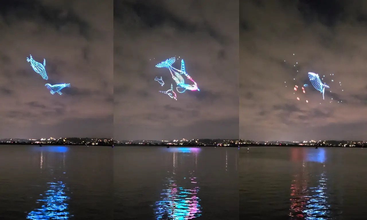 Drones forming dolphins in colorful lights over water at night.